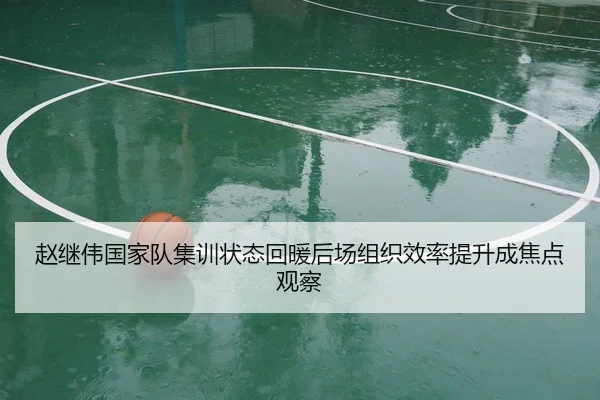 赵继伟国家队集训状态回暖后场组织效率提升成焦点观察
